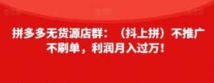 拼多多无货源店群:(抖上拼)不推广不刷单,利润月入过万!【揭秘】-优优云创网
