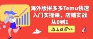 海外版拼多多Temu快速入门实操课,店铺实战从0到1-优优云创网