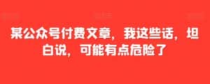 某公众号付费文章,我这些话,坦白说,可能有点危险了-优优云创网