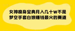 女神瘦身宝典月入几十W不是梦空手套白狼赚钱最火的赛道【揭秘】-优优云创网