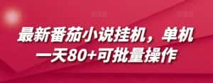 最新番茄小说挂机，单机一天80+可批量操作【揭秘】-优优云创网
