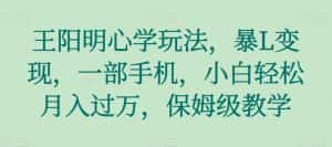 王阳明心学玩法,暴L变现,一部手机,小白轻松月入过万,保姆级教学【揭秘】-优优云创网