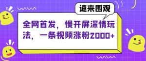 全网首发,慢开屏深情玩法,一条视频涨粉2000+【揭秘】-优优云创网