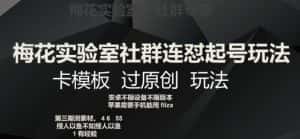 梅花实验室社群连怼起号玩法，卡模板过原创玩法【揭秘】-优优云创网