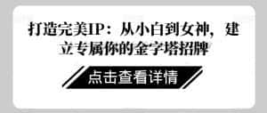 打造完美IP:从小白到女神,建立专属你的金字塔招牌-优优云创网