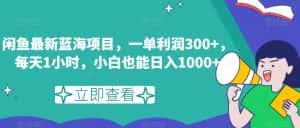 闲鱼最新蓝海项目,一单利润300+,每天1小时,小白也能日入1000+【揭秘】-优优云创网