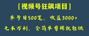 日收款500笔,纯利润3000+,视频号狂飙项目,会简单剪辑就能做【揭秘】-优优云创网