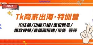 Tk商家出海·特训营:ID注册/功能介绍/定位账号/爆款视频/直播间搭建/带货-优优云创网