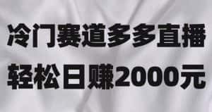 冷门赛道拼多多直播,简单念稿子,日收益2000+【揭秘】-优优云创网