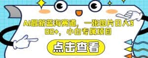 AI最新蓝海赛道，一张图片日入300+，小白专属项目【揭秘】-优优云创网