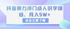 抖音暴力冷门成人识字项目,月入5W+【揭秘】-优优云创网