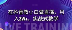 在抖音教小白做直播,月入2W+,实战式教学【揭秘】-优优云创网