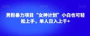 男粉暴力项目“女神计划”小白也可轻松上手，单人日入上千+【揭秘】-优优云创网