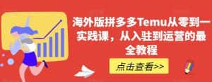 海外版拼多多Temu从零到一实践课,从入驻到运营的最全教程-优优云创网