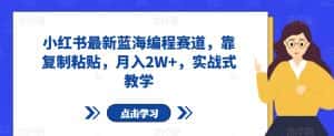 小红书最新蓝海编程赛道,靠复制粘贴,月入2W+,实战式教学【揭秘】-优优云创网