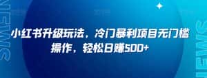小红书升级玩法,冷门暴利项目无门槛操作,轻松日赚500+【揭秘】-优优云创网