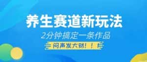 养生赛道新玩法，2分钟搞定一条作品，闷声发大财【揭秘】-优优云创网