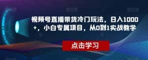 视频号直播带货冷门玩法，日入1000+，小白专属项目，从0到1实战教学【揭秘】-优优云创网