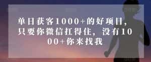 单日获客1000+的好项目，只要你微信扛得住，没有1000+你来找我【揭秘】-优优云创网