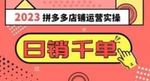 2023拼多多运营实操,每天30分钟日销1000+,爆款选品技巧大全(10节课)-优优云创网
