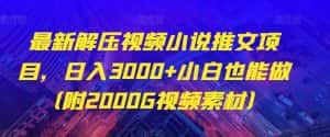最新解压视频小说推文项目，日入3000+小白也能做（附2000G视频素材）【揭秘】-优优云创网