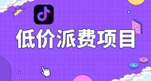 抖音低价派单项目,0门槛,日入1000+很轻松,小白可操作【揭秘】-优优云创网