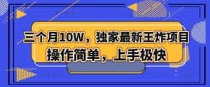 三个月10W,独家最新王炸项目!操作简单,上手极快【揭秘】-优优云创网