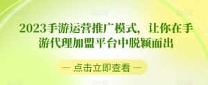 2023手游运营推广模式,让你在手游代理加盟平台中脱颖而出-优优云创网