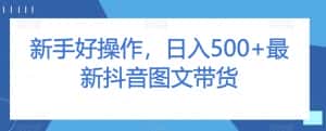 新手好操作，日入500+最新抖音图文带货【揭秘】-优优云创网