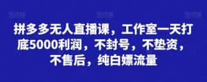 拼多多无人直播课,工作室一天打底5000利润,不封号,不垫资,不售后,纯白嫖流量-优优云创网