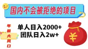 在国内不怕被拒绝的项目,单人日入2000,团队日入20000+【揭秘】-优优云创网
