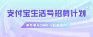 支付宝生活号作者招募计划,单号单月2600,可批量去做,工作室一人一个月轻松1w+【揭秘】-优优云创网