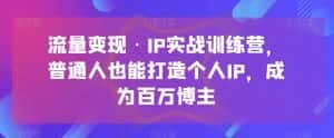 流量变现·IP实战训练营,普通人也能打造个人IP,成为百万博主-优优云创网