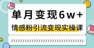 单月变现6W+,抖音情感粉引流变现实操课,小白可做,轻松上手,独家赛道【揭秘】-优优云创网