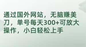 通过国外网站，无脑赚美刀，单号每天300+可放大操作，小白轻松上手【揭秘】-优优云创网