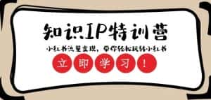 知识IP特训营 :小红书-流量变现,带你轻松玩转小红书(23节视频课)-优优云创网