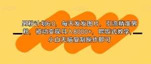 男粉计划6.0,每天发发图片,引流精准男粉,被动变现月入8000+,喂饭式教学,小白无脑复制操作即可-优优云创网