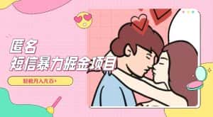 全网首发,揭秘超冷门匿名短信项目,通过信息差日入几百+【揭秘】-优优云创网
