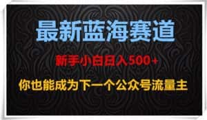 最新蓝海赛道，新手小白日入500+，你也能成为下一个公众号流量主【揭秘】-优优云创网