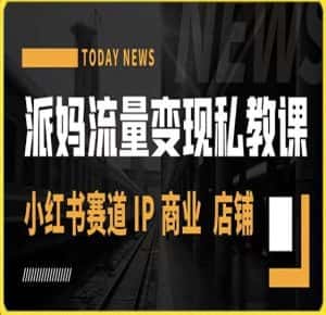 派妈流量变现私教课,小红书赛道IP 商业 店铺-优优云创网