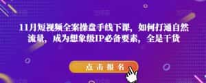 11月短视频全案操盘手线下课，如何打通自然流量，成为想象级IP必备要素，全是干货-优优云创网