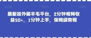 最新国外薅羊毛平台,2分钟视频收益50+,1分钟上手,保姆级教程【揭秘】-优优云创网