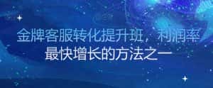 金牌客服转化提升班,利润率最快增长的方法之一-优优云创网
