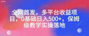 全网首发,多平台收益项目,0基础日入500+,保姆级教学实操落地【揭秘】-优优云创网