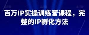 百万IP实操训练营课程，完整的IP孵化方法-优优云创网