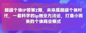 超级个体IP营第2期,未来是超级个体时代,一套科学的ip创业方法论,打造小而美的个体商业模式-优优云创网