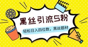 S粉变现，轻松日入四位数，黑丝题材+情感话术【揭秘】-优优云创网