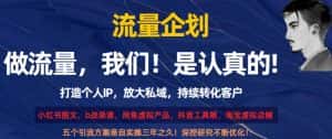 流量企划,打造个人IP,放大私域,持续转化客户【揭秘】-优优云创网
