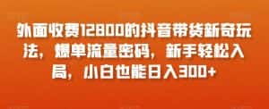 外面收费12800的抖音带货新奇玩法,爆单流量密码,新手轻松入局,小白也能日入300+【揭秘】-优优云创网