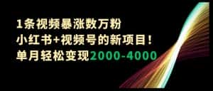 1条视频暴涨数万粉–小红书+视频号的新项目!单月轻松变现2000-4000【揭秘】-优优云创网